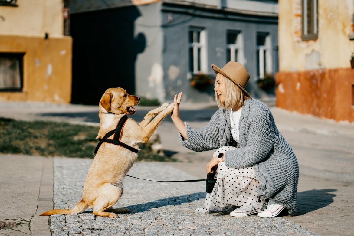 Why Do Dog Owners Have So Much to Thank For?