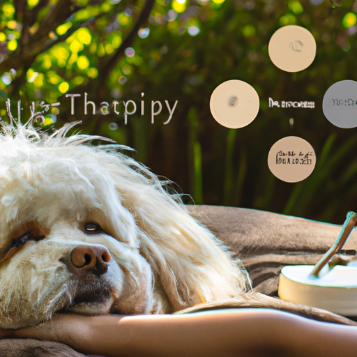 A Holistic Haven: Nurturing Your Dog’s Well-Being With Alternative Therapies