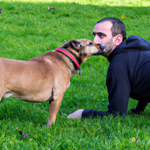 Age Is Just A Number: The Beauty Of Adopting An Adult Dog