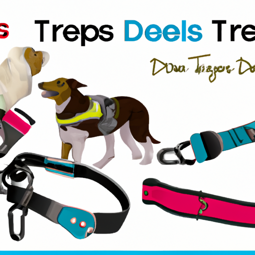 Equip For Success: Discover The Must-Have Dog Training Gear, Collars, Harnesses, And More