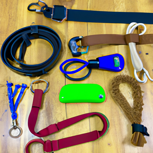 Essential Gear For Effective Dog Training: Choosing The Right Tools For Success