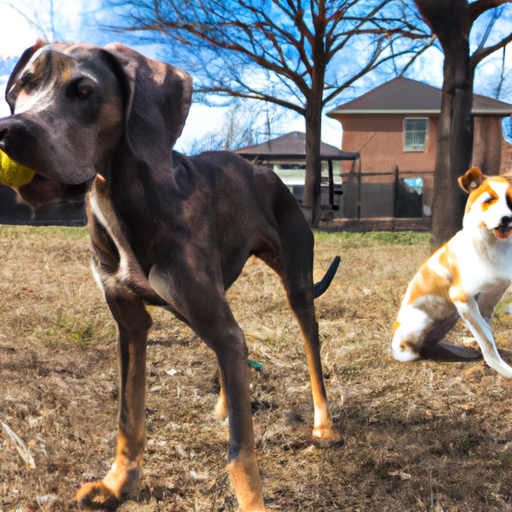 From Rambunctious To Refined: Unleash Your Puppy’s Potential With Comprehensive Obedience Training