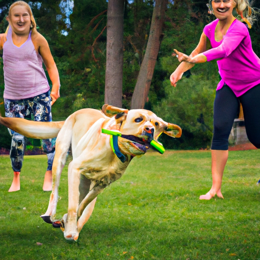 Labrador Retrievers: Born Athletes And Devoted Family Companions”