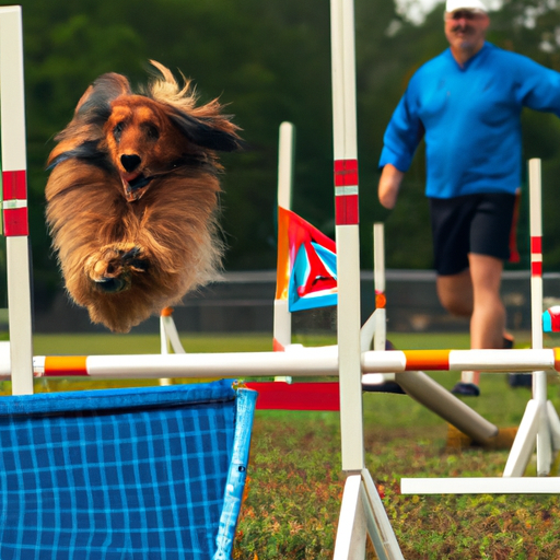 Leap Into Action: Unleashing The Thrills Of Agility Training For Dogs