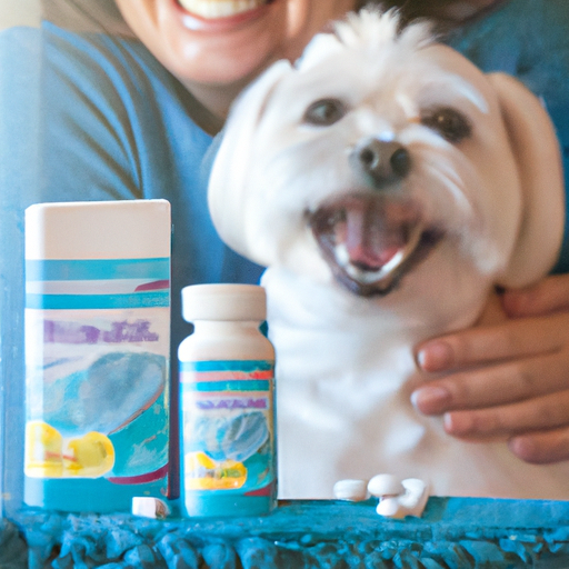 Maltese: A Lapdog Treasure For Allergic Dog Enthusiasts”