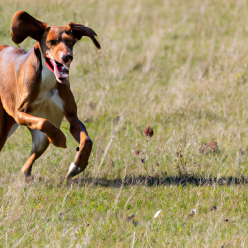 On The Hunt: Sporting Dog Breeds That Combine Grace And Grit