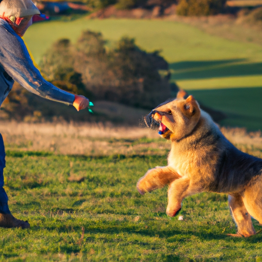 Take Your Dog’s Obedience To New Heights: Explore Advanced Training Techniques: Off-Leash Mastery, Advanced Commands, And Reliable Recall