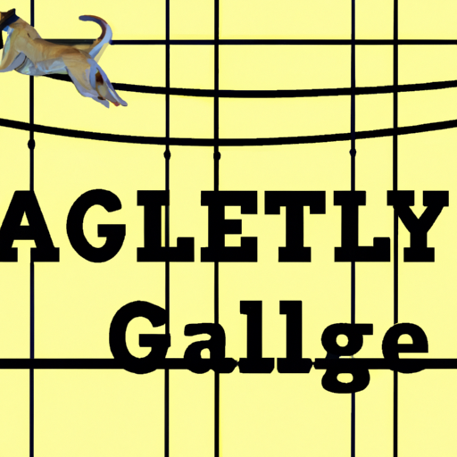 Unleash The Athlete Within: Agility Training For Dogs With Exciting Obstacle Courses And More