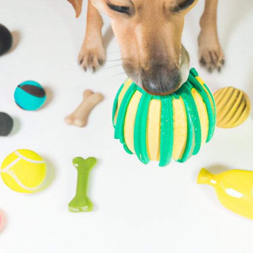 What You Need To Know About Dog Toys