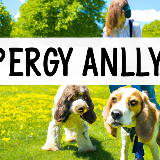 Allergy-Friendly Dog Breeds: Embrace The Love Of Dogs Without The Sneezes