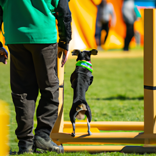 Beyond The Basics: Mastering Advanced Commands In Dog Obedience