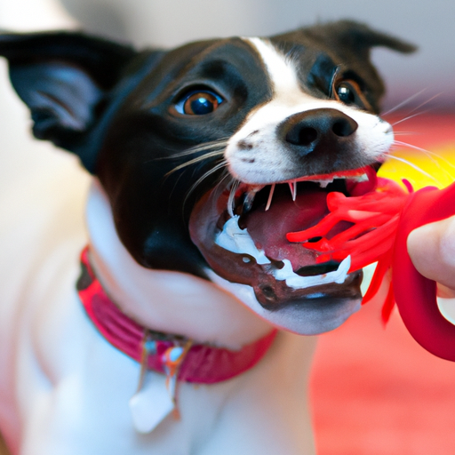 Dental Rope Toys: Floss Your Dog’s Teeth While Having Fun”