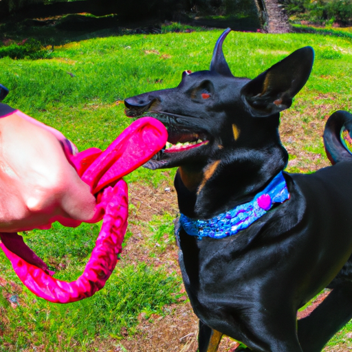 Interactive Squeaky Toys: Fun That Brings Joy To Both Ends Of The Leash”