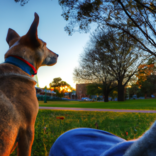 Obedience For Life: Lifelong Skills For A Happy And Well-Behaved Dog