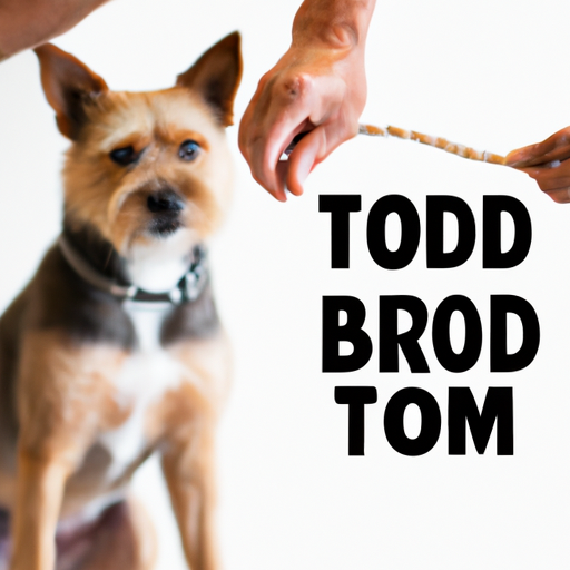 Obedience On Demand: How To Teach Your Dog To Respond Instantly