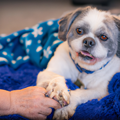 Paws Of Comfort: The Profound Impact Of Therapy Dogs In Animal-Assisted Therapy