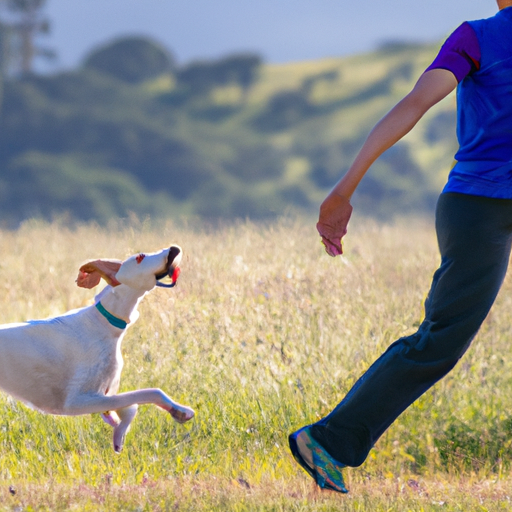 Recall Mastery: Unleashing Your Dog’s Reliable Return Skills