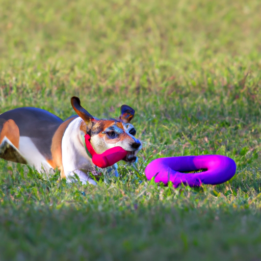 Rolling Toys For Dogs: Chase And Roll With Rolling Fun”
