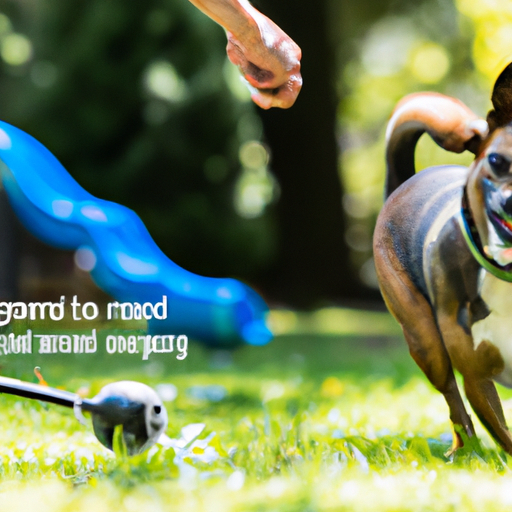 Rolling Toys For Dogs: Fun For Both Pup And Owner”