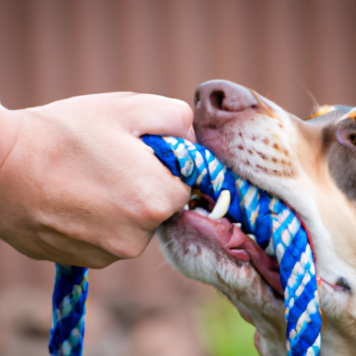 Strengthen Your Bond: Engage In Tug-Of-War With Your Pup”