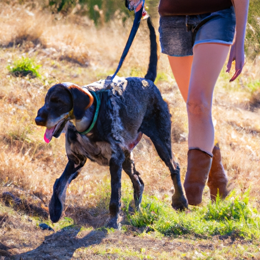 Take Command: Advanced Dog Obedience For Unleashing Off-Leash Skills