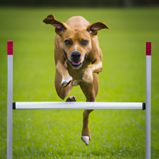The Agility Advantage: How Training Boosts Your Dog’s Physical And Mental Fitness