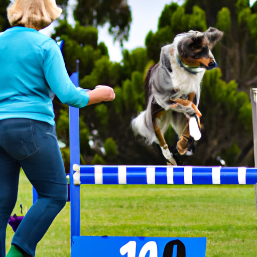 The Thrill Of The Trial: Insider Secrets Of Competitive Dog Obedience