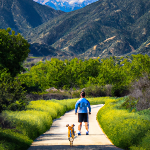 Trailblazing Tails: Embark On Unforgettable Journeys On Dog-Friendly Hiking Trails”