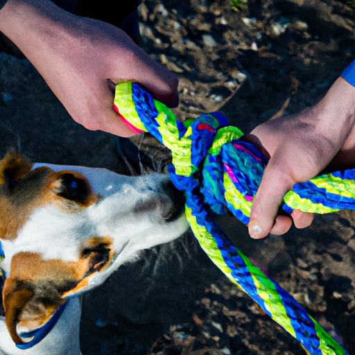 Tug Toys: Strengthen The Connection With Your Canine Companion”