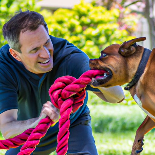 Tug Toys For Dogs: Strengthen Your Bond Through Play”