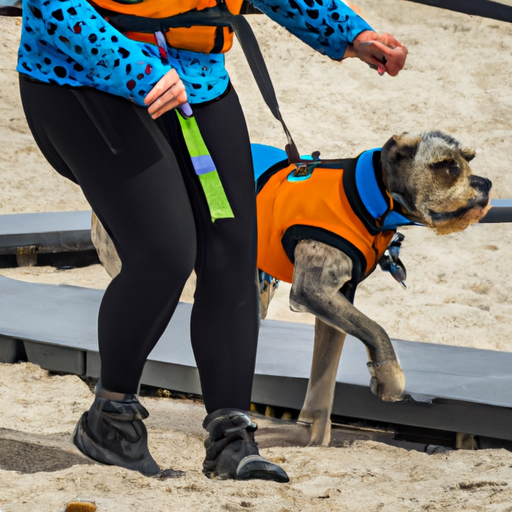 Unleashing Extraordinary Abilities: The Art Of Professional Service Dog Training Programs