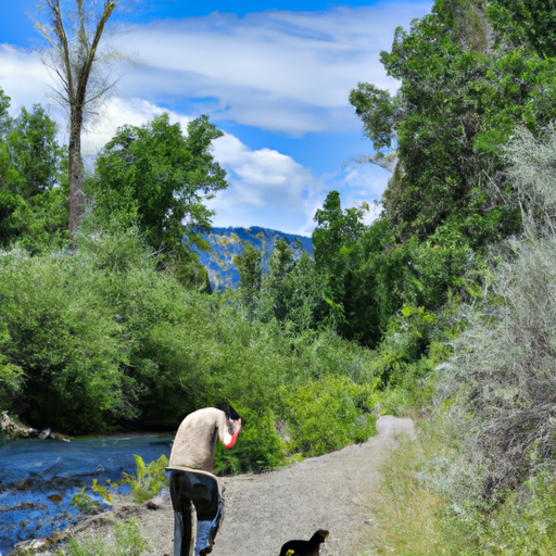 Where Nature And Canine Meet: Dog-Friendly Hiking Trails To Ignite Your Spirit”