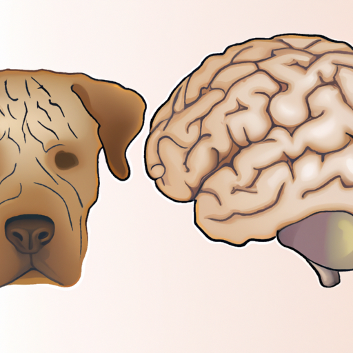 How Big Is A Dogs Brain