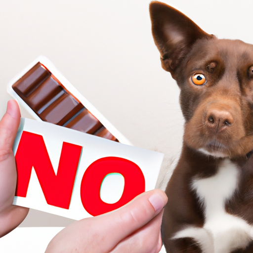 How Is Chocolate Bad For Dogs
