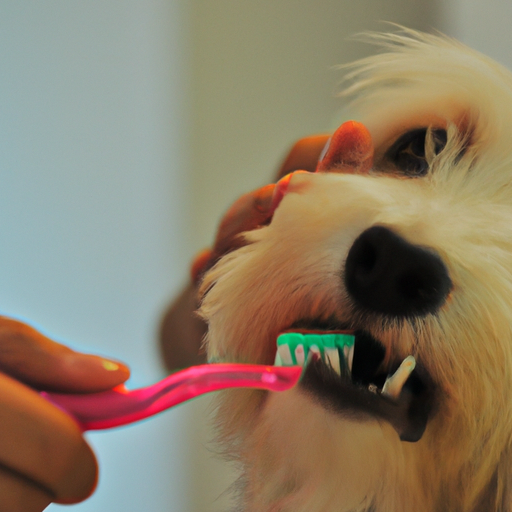 How To Clean A Dogs Mouth