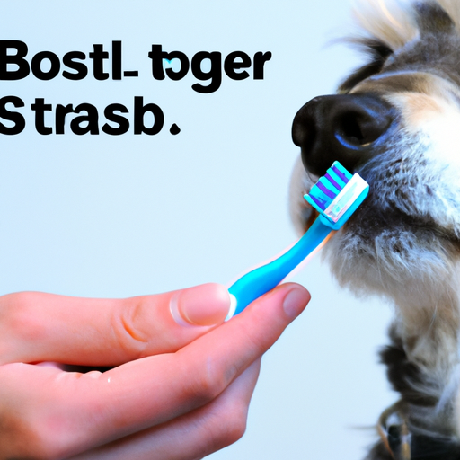 How To Clean Dogs Teeth