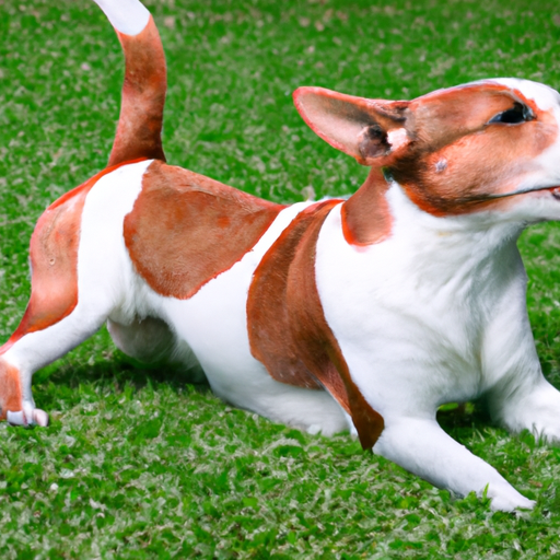 How To Deworm A Puppy