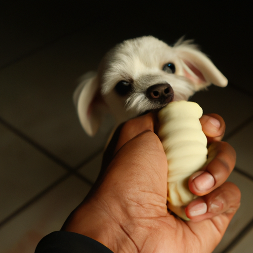 How To Get Your Puppy To Stop Biting