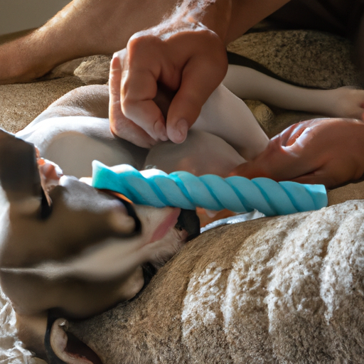 How To Help A Teething Puppy
