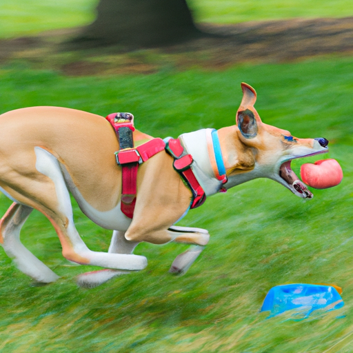 How To Prevent Bloat In Dogs