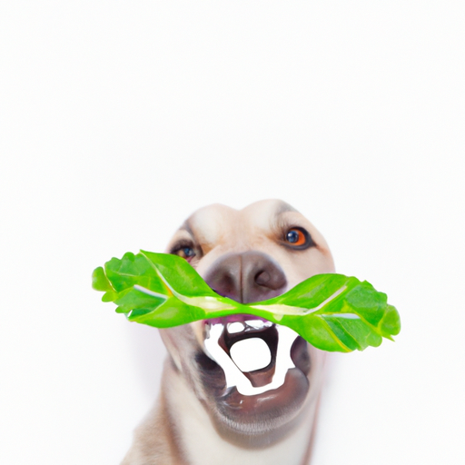 How To Stop My Dogs Breath From Smelling Like Fish