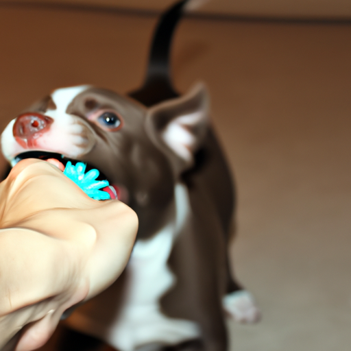 How To Stop Puppy From Biting