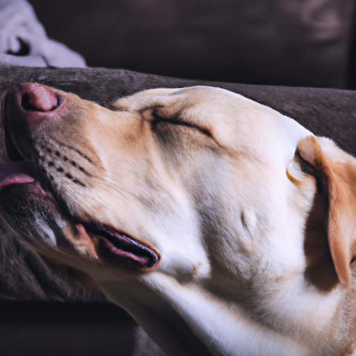 How To Stop Reverse Sneezing In Dogs