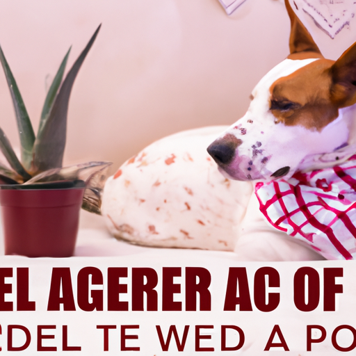 How To Treat Hot Spots On Dogs At Home