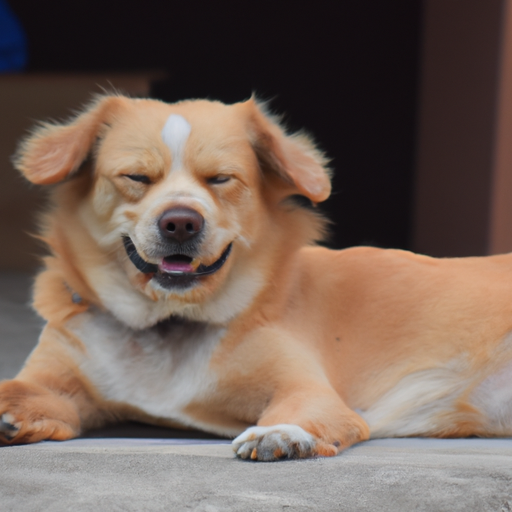 How To Treat Mange In Dogs At Home
