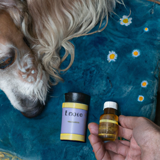 What To Give Dogs For Anxiety