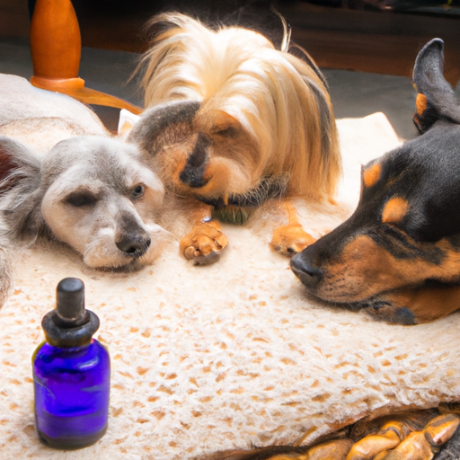 Which Essential Oils Are Safe For Dogs