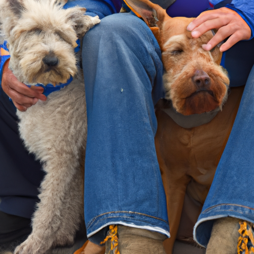 Why Do Dogs Sit On Your Feet