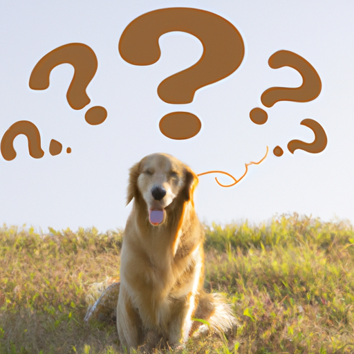 Why Do Dogs Wink