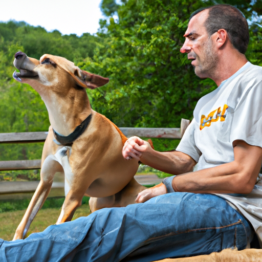Dogs Front Leg Shakes When Sitting